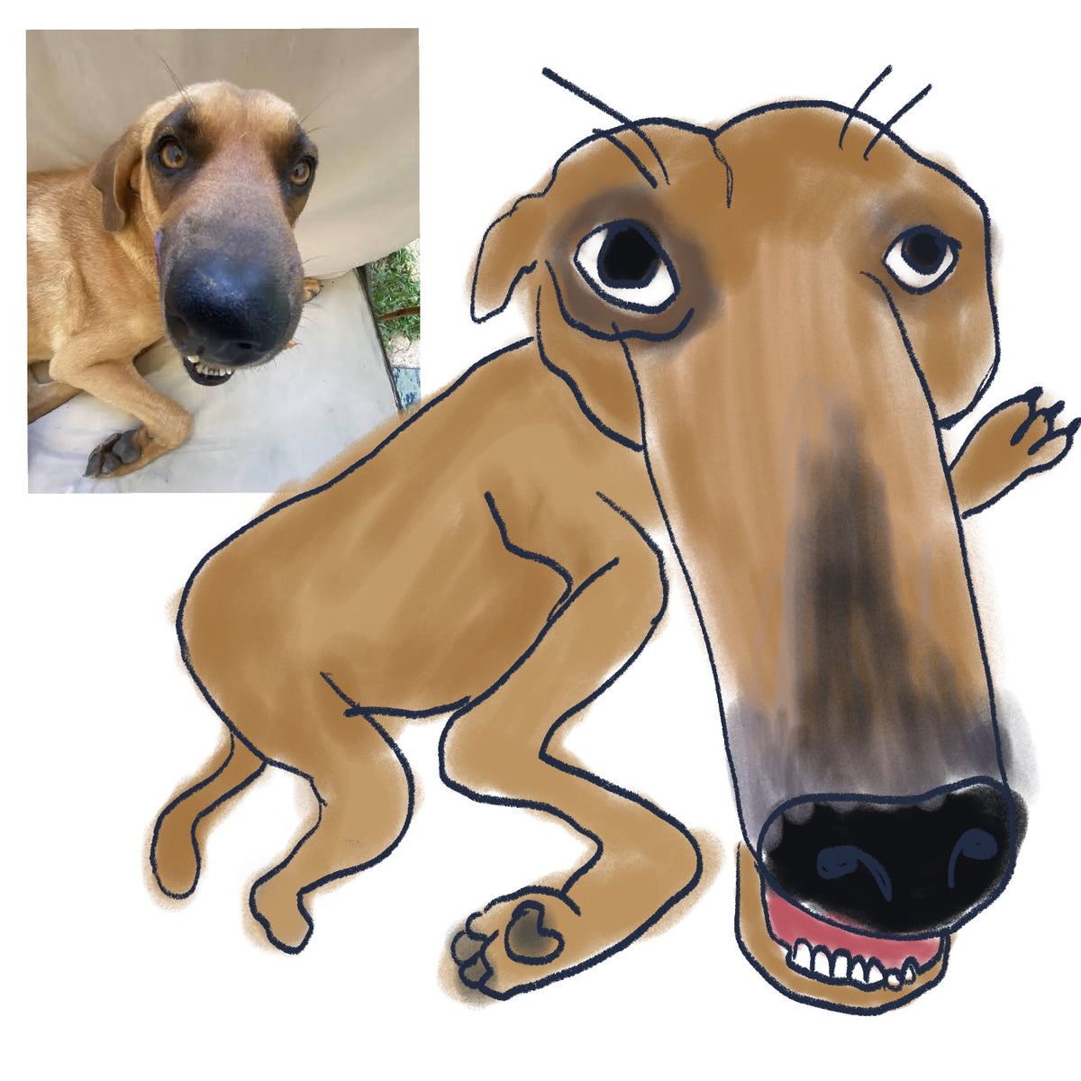 Sleezy pet portraits