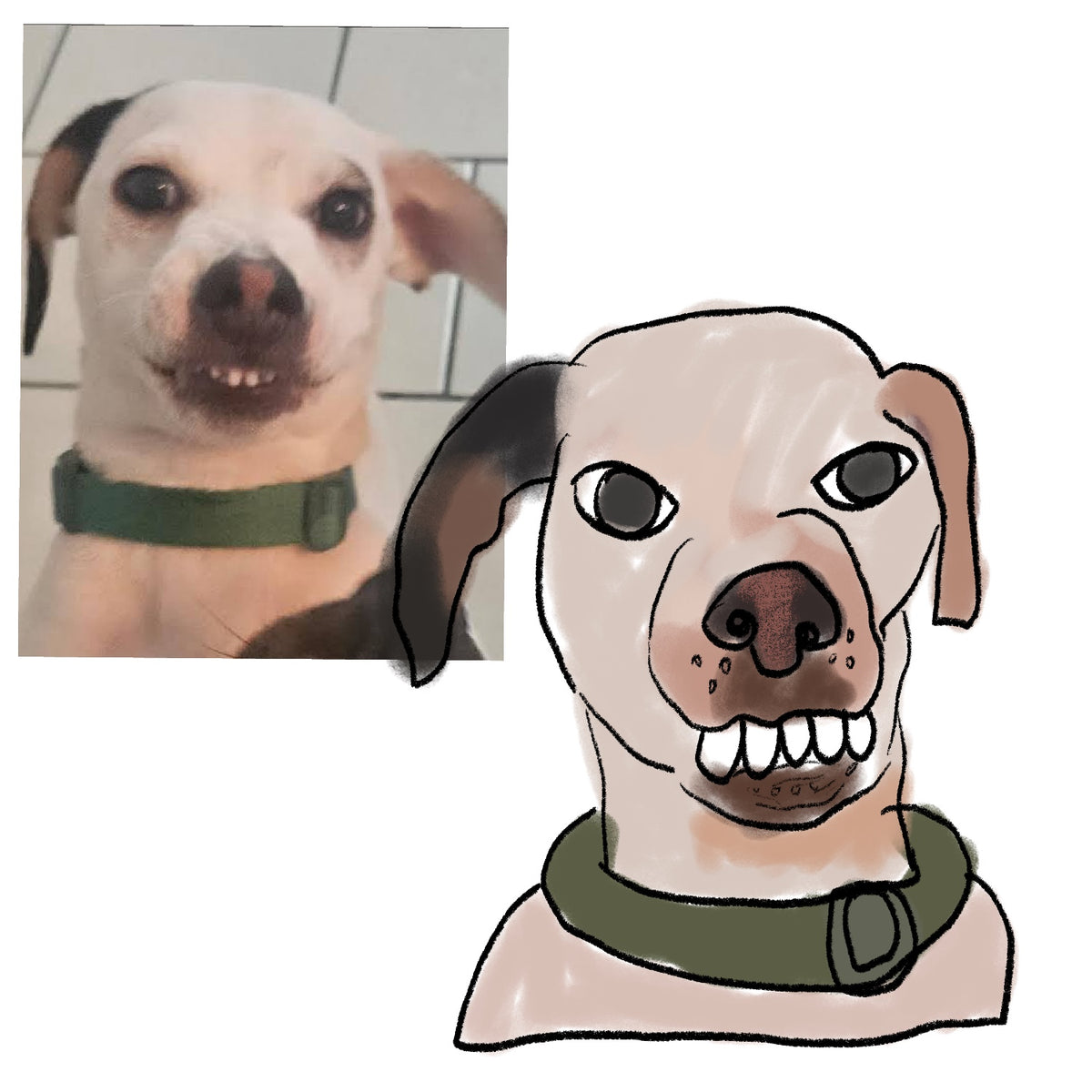 Sleezy pet portraits